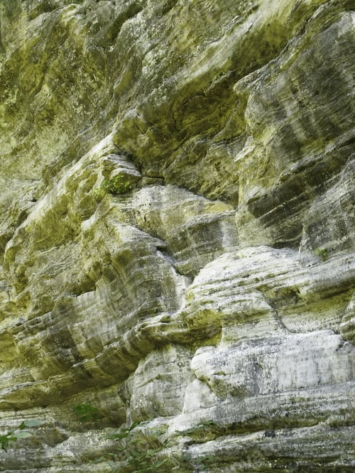 Preview: Canyon Wall Of Sandstone, Starved Rock State Park, Illinois