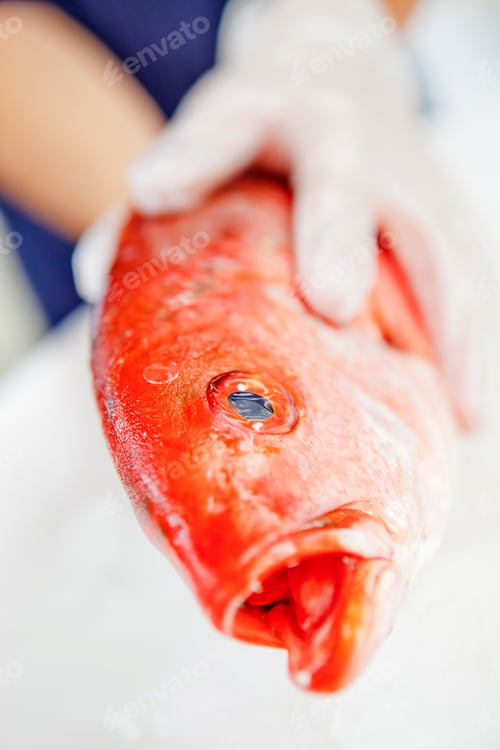Preview: Man Preparing Fish For Dinner - Seafood Concepts