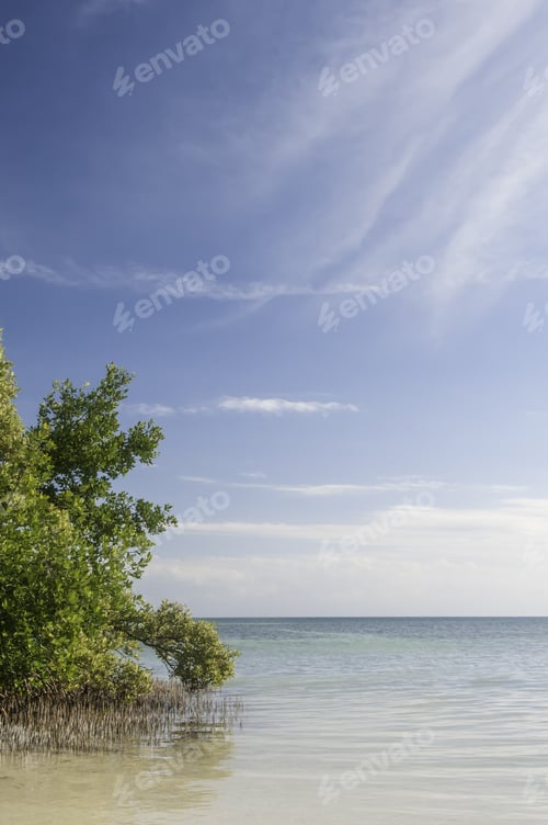 Preview: Seascape In The Florida Keys