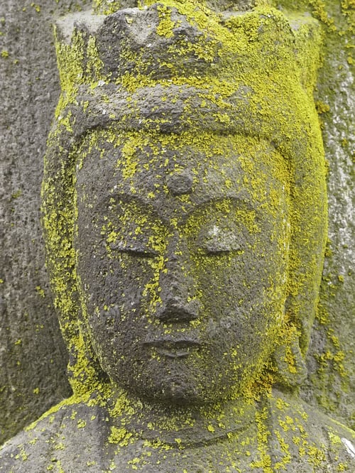 Preview: Green Crustose Lichens Spreading Across Stone Head Of Garden Statue