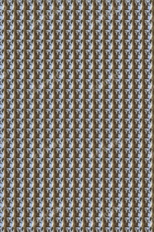 Preview: Abstract Symmetrical Pattern