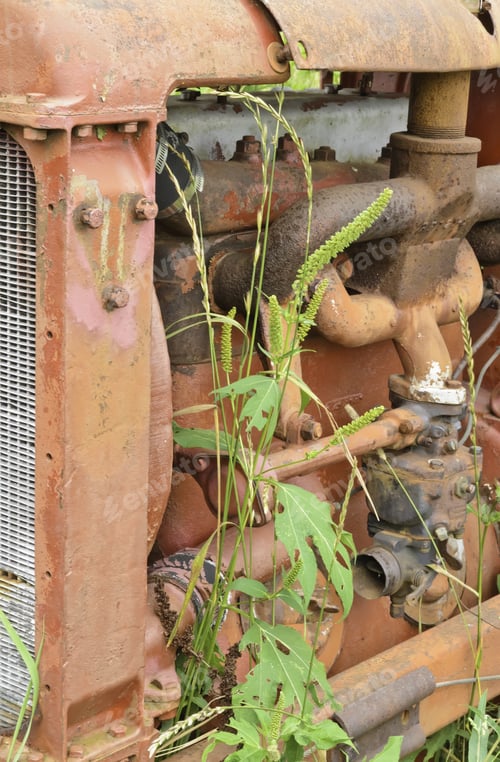 Preview: Old Technology Out To Pasture: Side Of Vintage Farm Tractor Starting To Disappear Behind Tall