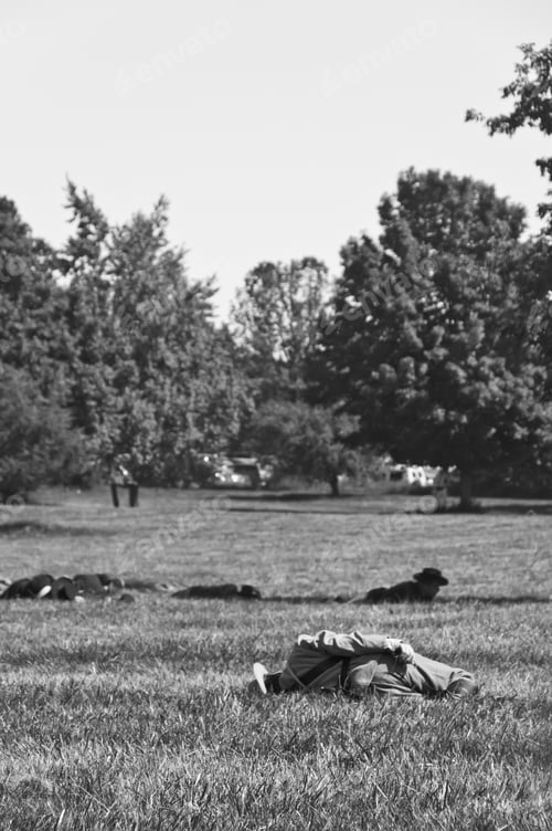 Preview: Wauconda, Illinois/Usa - July 13: American Civil War (1861-1865) Reenactment On July 13, 2013, In