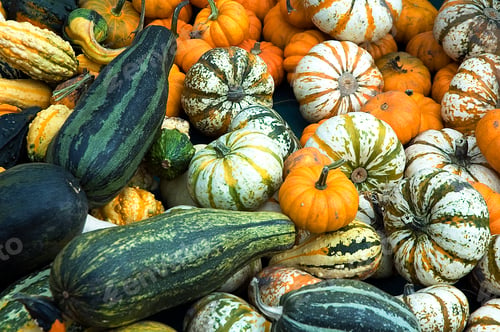 Preview: Assortment Of Gourds