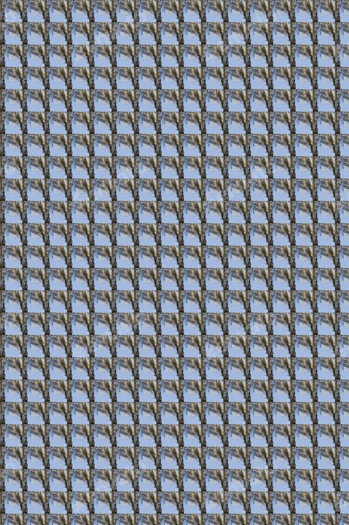 Preview: Abstract Symmetrical Pattern