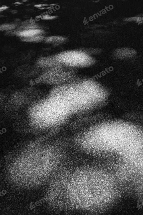 Preview: Puddle Effect In Summer: Part Of Dappled Asphalt Road Through Woods In Northern Illinois, Usa