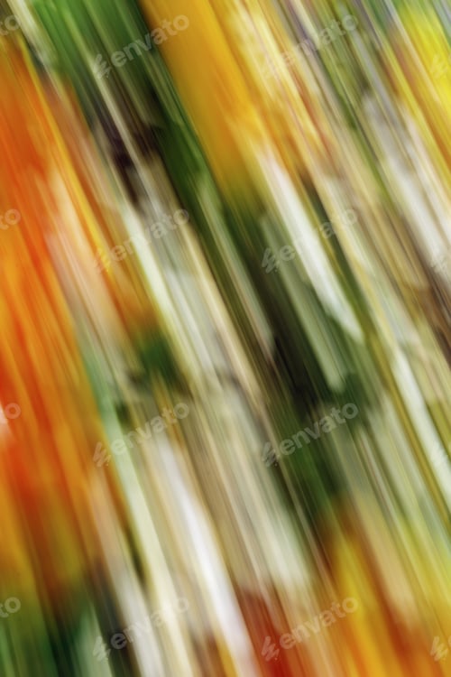 Preview: Enigmatic Energetic Spring: Impressionistic Abstract Motion Blur Of Hybrid Red And Yellow Tulips In