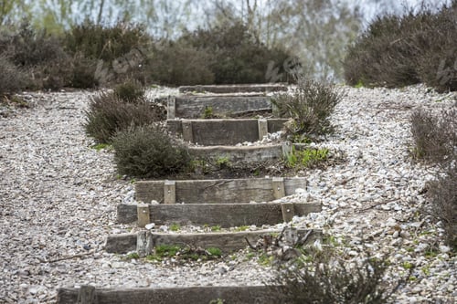 Preview: Timber Steps On A Gravel Pathway