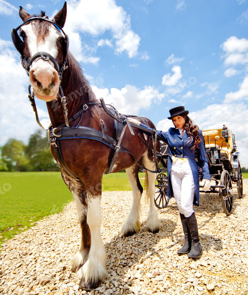 Preview: Beautiful Female Horse Carriage Driver Wearing An Outfit