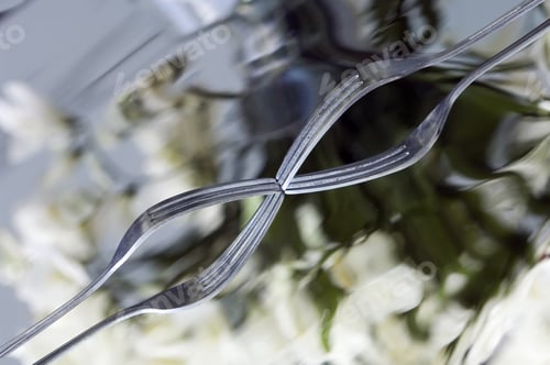 Preview: Two Dinner Forks Touching Tines And Their Reflections