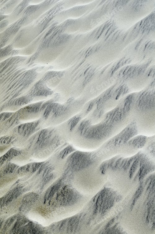 Preview: Ripples In Sand Dune, Eastern Maryland