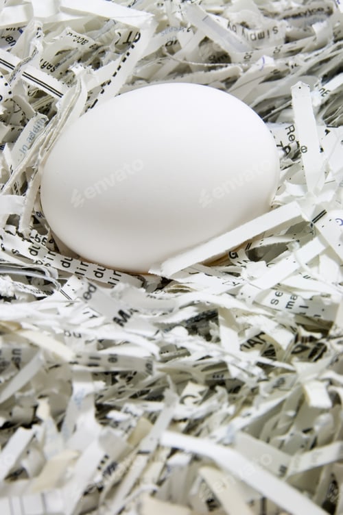 Preview: Egg On Shredded Paper, As In A Nest