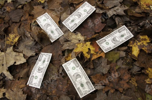 Preview: Play Money Grown On Trees: Five Million-Dollar Bills On Top Of Fallen Autumn Leaves