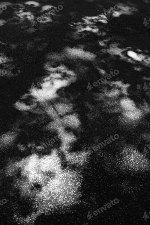 Preview: Interplay Of Sunlight And Shadow In Summer: Part Of A Dappled Road Through Woods In Northern