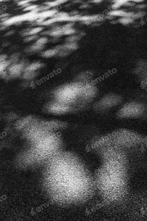 Preview: Here Today, Gone Tomorrow: Dappled One-Way Asphalt Road Through Woods In Summer, Northern Illinois