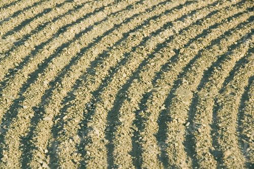 Preview: Close-Up Of Rake Marks Across Baseball Diamond