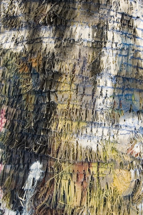 Preview: Trunk Of Palm Tree With Layers Of Paint (Close-Up)