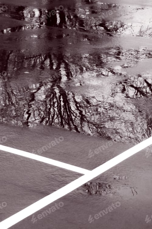 Preview: Partial View Of Tennis Court With Ice, Puddles, And Tree Reflection
