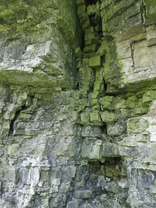 Preview: Detail Of Limestone Bluff 400 Million Years Old, Part Of The Niagara Escarpment Above Green Bay