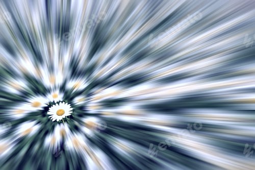 Preview: Zoom Blur Of Daisies In Summer Garden