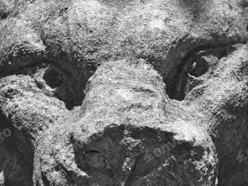 Preview: Eyes Of A Garden Statue Representing A Mythical Creature, In Black And White