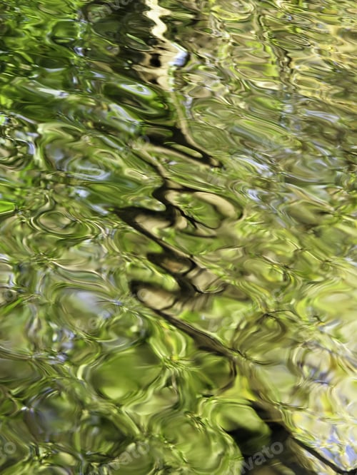 Preview: Motion Blur For Background Or Motif: Zigzag Reflection Of Tree Across Stream Reflecting Foliage And
