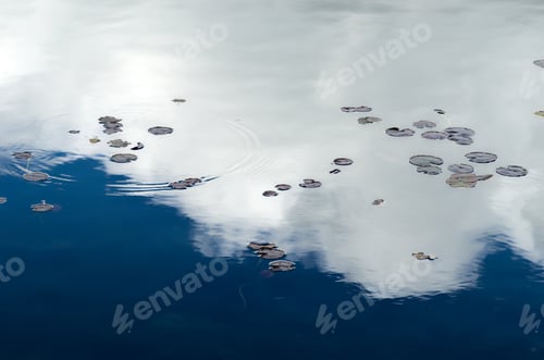 Preview: Lily Pads With A Ripple On Lake Reflecting Deep Sky And Clouds