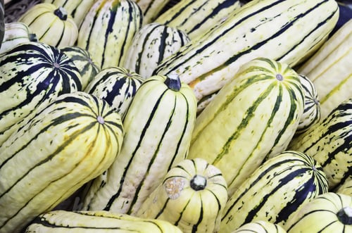 Preview: Delicata Squash (Binomial Name: Cucurbita Pepo Var. Pepo "Delicata"), Also Known As Peanut Squash