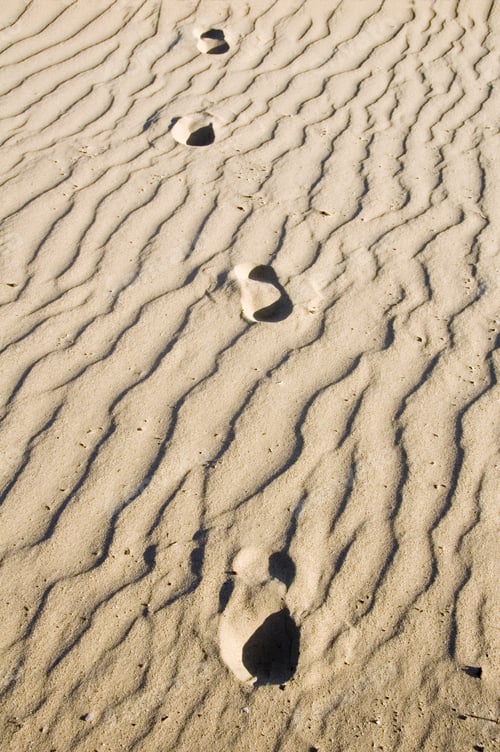 Preview: Four Human Footprints In Rippled Sand, All Heading Toward You