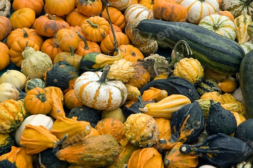 Preview: Assortment Of Gourds