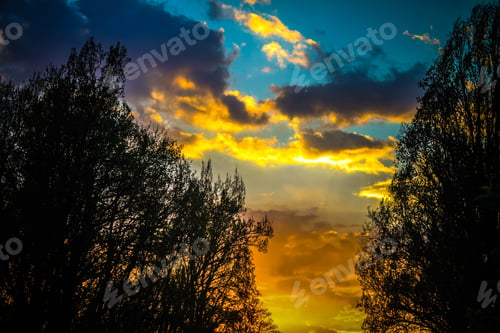 Preview: Beautiful Sunset. Golden Sky And Trees