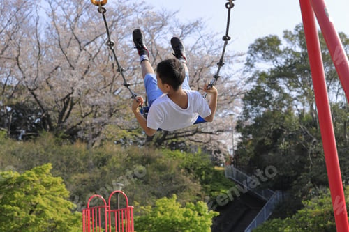 Preview: Japanese Boy On The Swing (Appearance From Behind) (Fourth Grade At Elementary School)