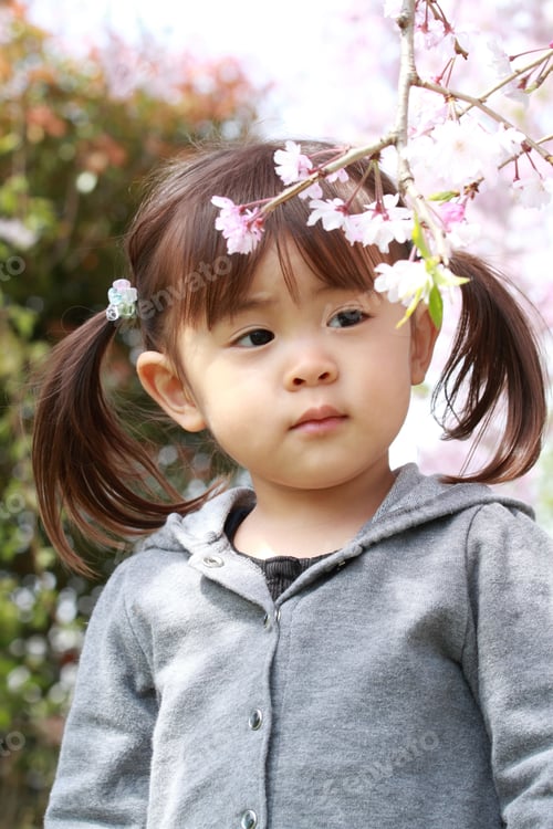 Preview: Japanese Girl And Cherry Blossoms (2 Years Old)