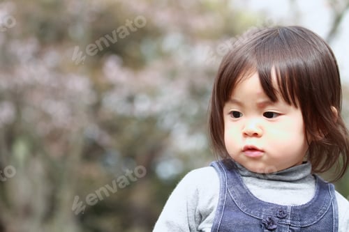 Preview: Japanese Girl And Cherry Blossoms (2 Years Old)