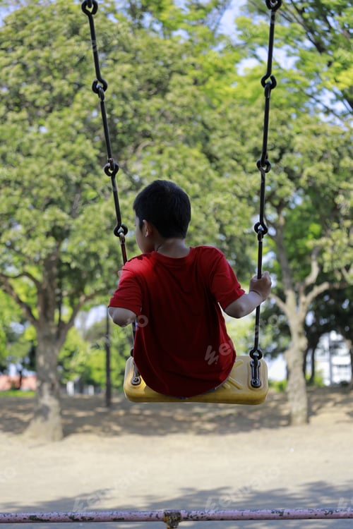 Preview: Japanese Boy On The Swing (Appearance From Behind) (Fifth Grade At Elementary School)