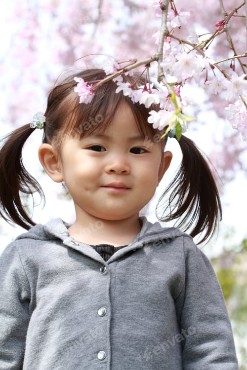 Preview: Japanese Girl And Cherry Blossoms (2 Years Old)