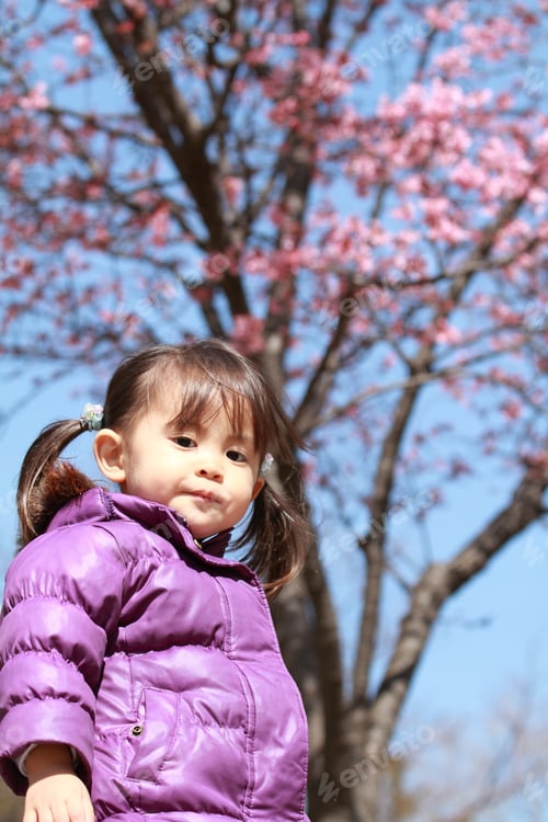 Preview: Japanese Girl And Cherry Blossoms 21 Years Old)