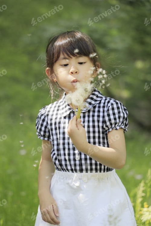 Preview: Japanese Student Girl Blowing Dandelion Seeds (6 Years Old)