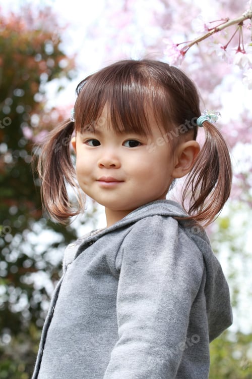 Preview: Japanese Girl And Cherry Blossoms (2 Years Old)