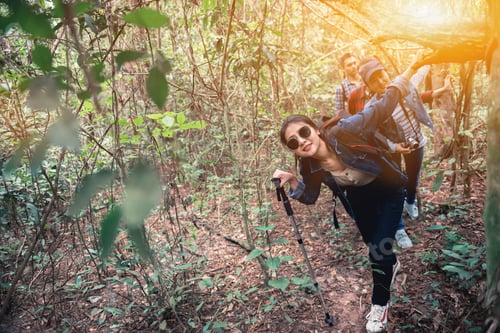 Preview: Hiking Trail And Trekking In The Forest With Friends. Walk Through Countryside And Read The