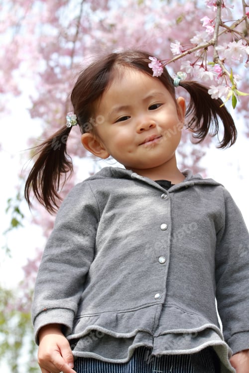 Preview: Japanese Girl And Cherry Blossoms (2 Years Old)