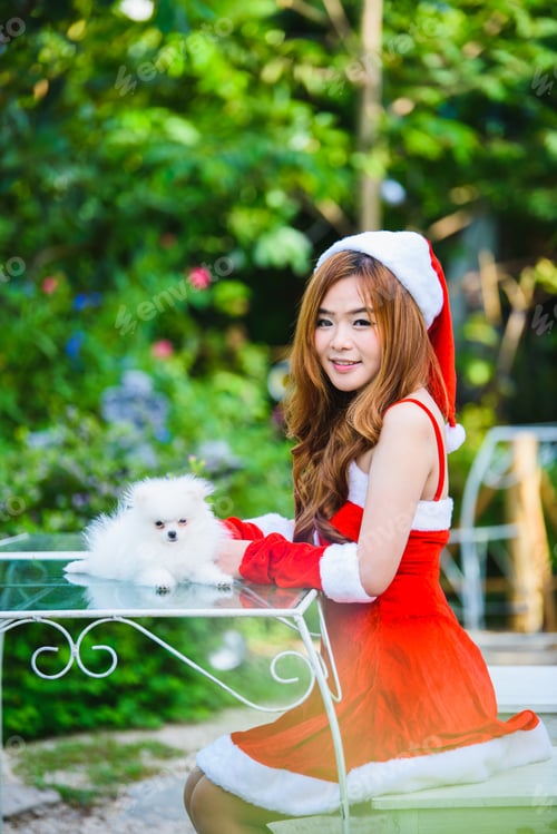 Preview: Asian Santa Girl With Puppy
