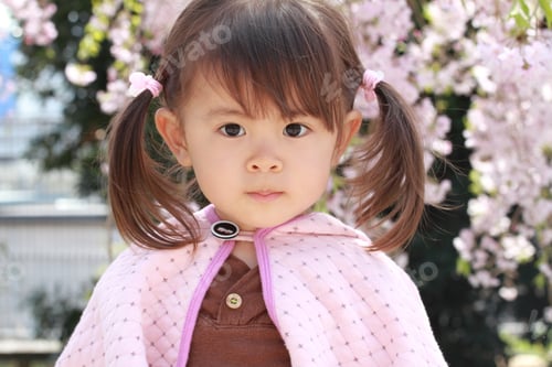 Preview: Japanese Girl And Cherry Blossoms (2 Years Old)