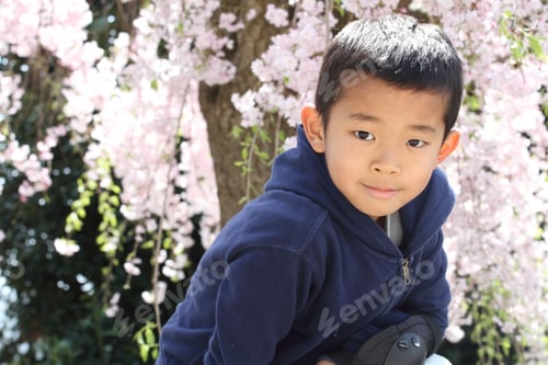 Preview: Japanese Boy And Cherry Blossoms (Second Grade At Elementary School)