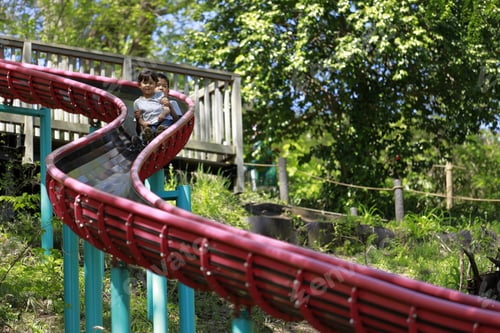 Preview: Japanese Brother And Sister On The Slide (10 Years Old Boy And 5 Years Old Girl)