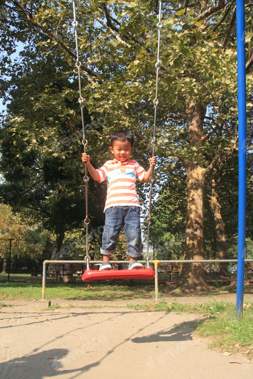 Preview: Japanese Boy On The Swing (4 Years Old)