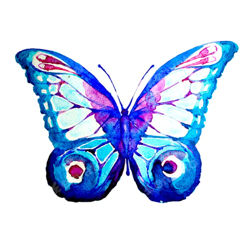 Preview: Butterfly,Watercolor, Isolated On A White