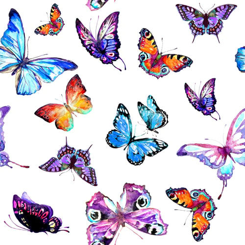 Preview: Pattern Beautiful Color Butterflies Set