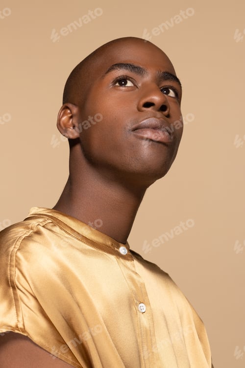 Preview: Portrait of a Young Man in Gold Shirt