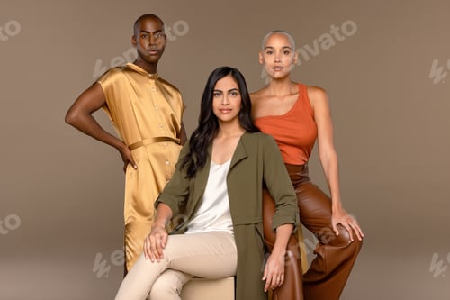 Preview: Three Quarter Length Shot Of A North Indian Woman In Her 30'S, A Biracial Woman In Her 20'S, And A